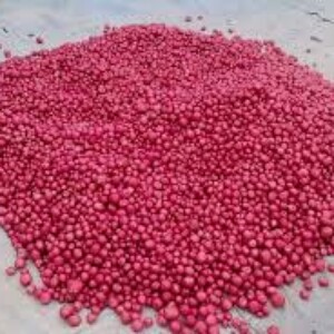 লাল পাকরি আলু