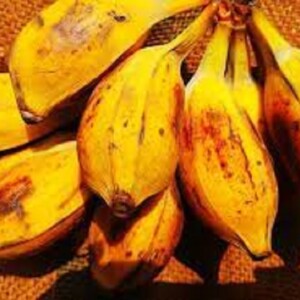 এঁটে কলা