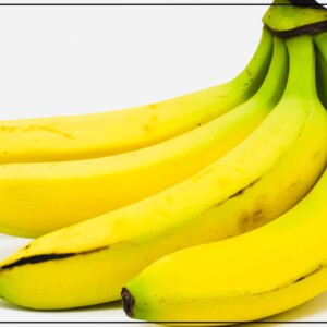 অমৃতসাগর কলা